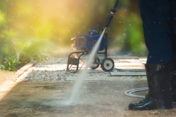 Best Driveway Cleaning and Restoration in Bellemont, AZ